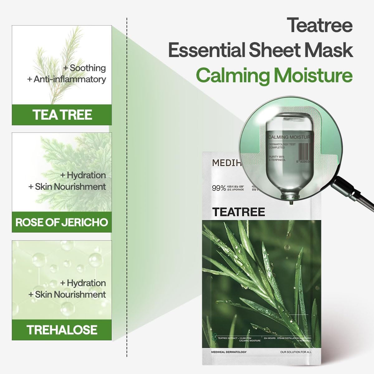 Mediheal Tea Tree Essential Mask – Calming Sheet Mask with Tea Tree, Centella, and Chamomile | Wholesale K-Beauty (Pack of 10)