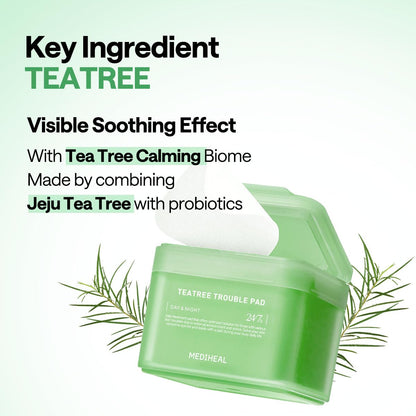 Mediheal Teatree Trouble Toner Pad – Calming & Soothing Vegan Gauze Pads for Acne-Prone Skin | Wholesale K-Beauty