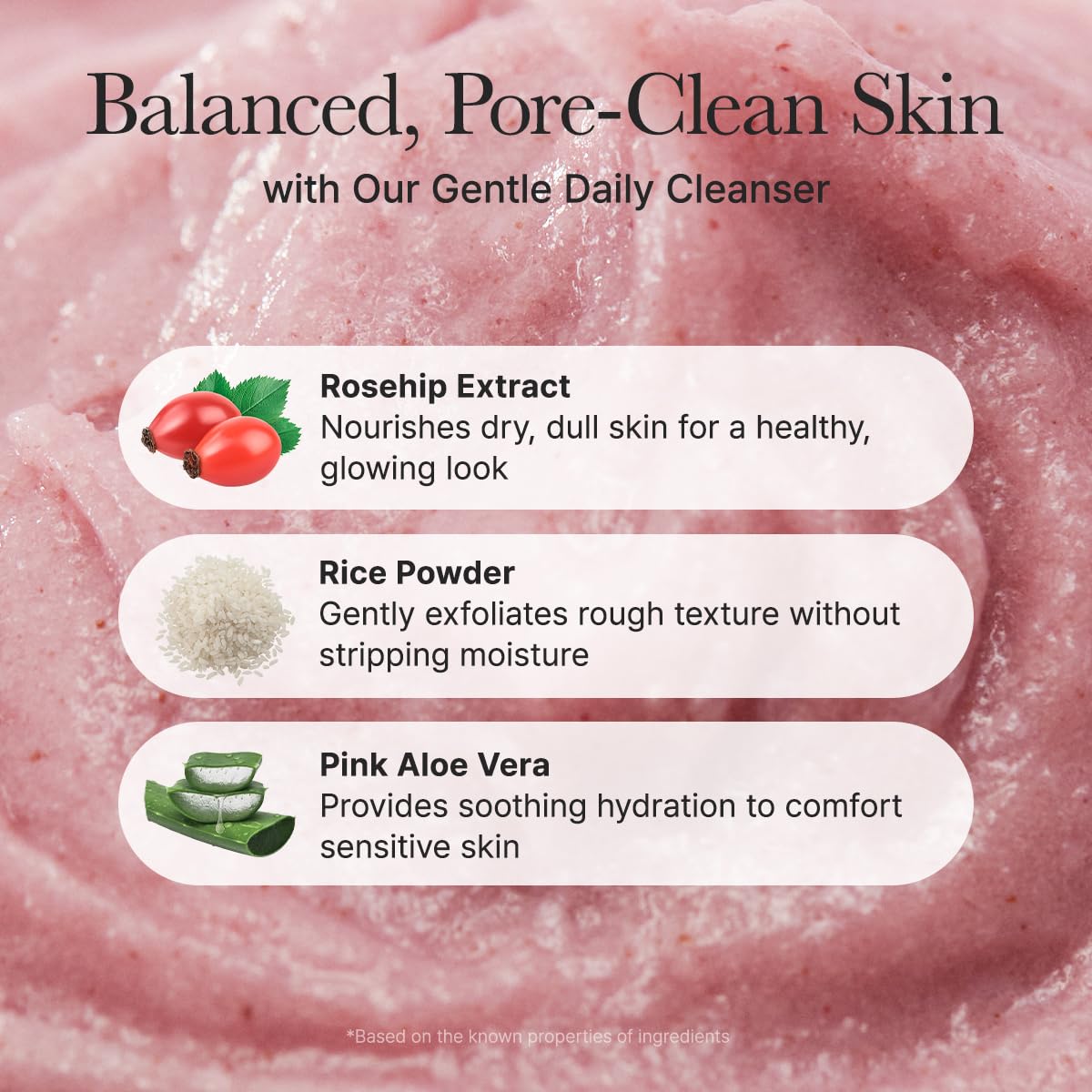 Arencia Fresh Rosehip Rice Mochi Cleanser 4.23oz | Wholsale K-Beauty