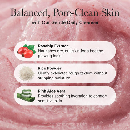Arencia Fresh Rosehip Rice Mochi Cleanser 4.23oz | Wholsale K-Beauty