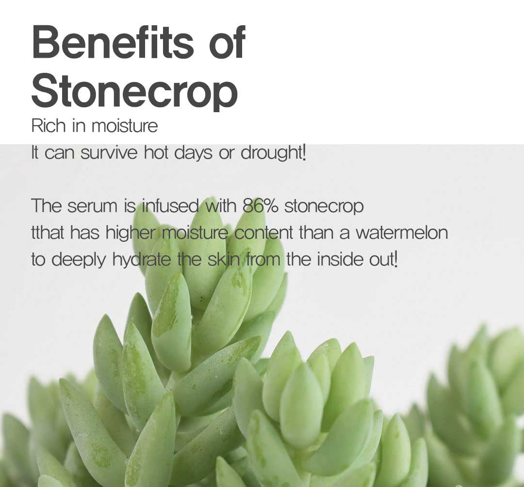 Benefits of Stonecrop extract in Hue Calm serum for moisture retention