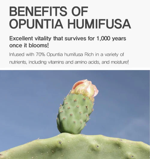 Cactus ingredient Opuntia humifusa shown with hydration claims