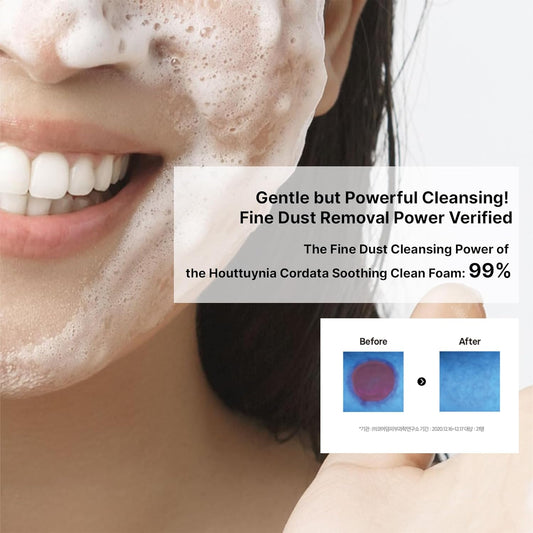 Huecalm Heartleaf Cleansing Foam fine dust removal test image